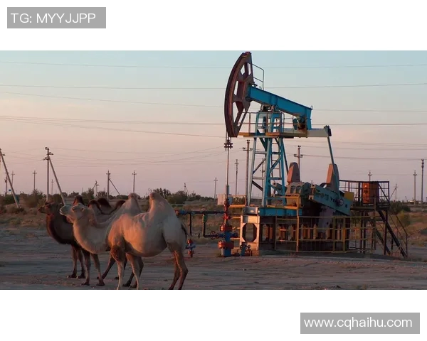 哈萨克斯坦地理文化与经济发展现状及其在中亚地区的重要性分析